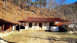 17년 전에도 빈집 이었다 /  지금도 빈집 그대로다/정선빈집 an empty house mountain village korea