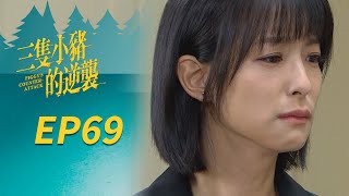 三隻小豬的逆襲 EP69 Piggy's Counterattack｜三立華劇