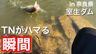 【秋の室生ダム】バイブレーション祭り!! リザーバーで巻き物がハマる条件とは？　【水の旅＃ １７０】