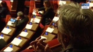 Unioni civili, sul ddl Cirinnà il M5S voterà secondo coscienza