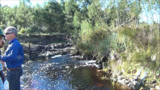 Goukou River Wetland damage