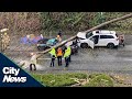 One person dead, two cars crushed by fallen tree in South Vancouver