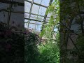 蝶の楽園日本一天国に近い植物園！