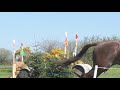 ballindenisk international nutriscience cci4*l