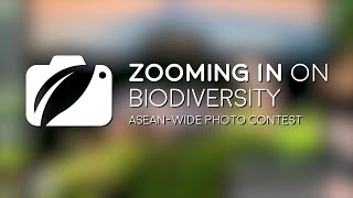 Zooming In On Biodiversity 2021 Winners