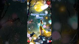 ପ୍ରେମରେ ଧୋକା ବି ମିଳିଥାଏ | odia love shayari odia beautifull shayari odia love poetry