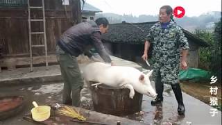 农村大叔杀年猪，工钱是150块一头年猪，你们那里是多少钱呢？ 举报 农村大叔杀年猪，工钱是150块一头年猪，你们那里是多少钱呢？