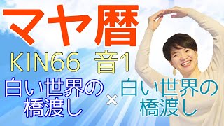 マヤ暦【KIN 66】白い世界の橋渡し 音1 「見えない世界と繋がりを感じた経験」開運ポイント