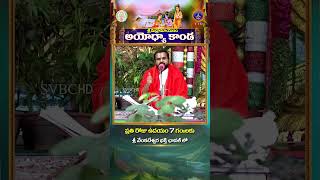 శ్రీమద్రామాయణం అయోధ్యాకాండ || ప్రతిరోజు ఉదయం 7 గంటలకు మీ శ్రీ వేంకటేశ్వర భక్తి ఛానల్ నందు || SVBCTTD