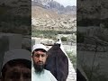 alhamdulillah these cows escaped from the mouth of death masha allah shorts viral shortstreasure