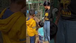 Kids day out at Prani - A pet Sanctuary near Banglore. #prani #kidsvideo #outing #banglore