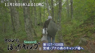 11/16(水)よる10時「ヒロシのぼっちキャンプ」宮城のキャンプ場へ！初めて目にする信号機の謎…そしてヒロシを待っていた出会いとは？