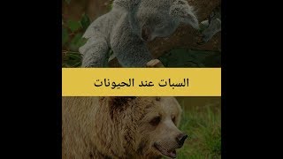 لماذا تلجأ بعض الحيوانات للسبات الشتوي ؟