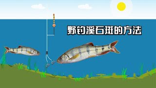 湖北农村野河曾经泛滥的溪石斑，如今价格翻了3倍，其钓法也简单