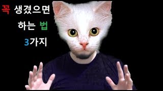 꼭 생겼으면 하는 법 3가지!