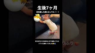 【赤ちゃん】目を離した隙につかまり立ちを成功させた息子🐤#shorts #赤ちゃん #生後7ヶ月 #赤ちゃんのいる生活 #つかまり立ち