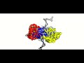 helicase translocation along dna