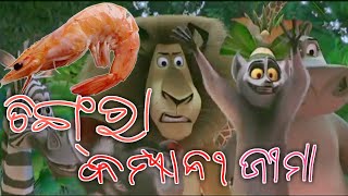 ବିଜୟ ବାଡା ଯିମା ।  new funny // new odia comedy comedy // chitrasen TV