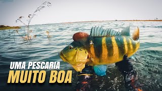 Dia dos Azulões - Atasub Pesca sub