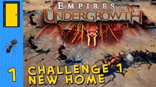 Empires of the Undergrowth - Challenge 1.1: New Home - Ant Colony Simulator