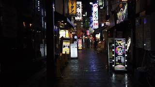 雨のアメ横路地裏散策動画