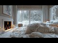 Relaxing Winter Nest Haven ❄️ | Immersive ASMR for Insomnia Relief & Soothing Relaxation