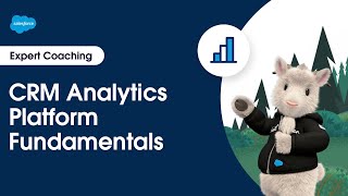 CRM Analytics: Platform Fundamentals | Expert Coaching