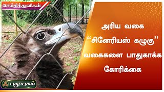 அரிய வகை \