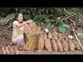 Freshly Harvested Yams: A Delicious Root Vegetable Packed with Health Benefits