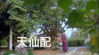 黄梅戏《天仙配》选段，大哥休要泪淋淋，弘扬戏曲文化，请欣赏！【小七姐爱说唱】