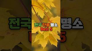 전국 단풍 명소 Best 5 #단풍 #단풍놀이 #단풍명소 #단풍구경 #국내여행 #국내여행지 #여행 #명소 #랭킹 #순위