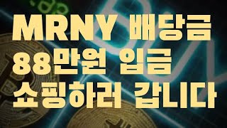 일드맥스 MRNY ETF 배당금으로 AMDY 고배당주 주식 쇼핑하기 싸다싸 싸다싸