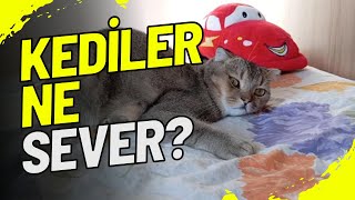 KEDİLERİN EN  SEVDİĞİ 10 ŞEY|ÇİKO LATTE