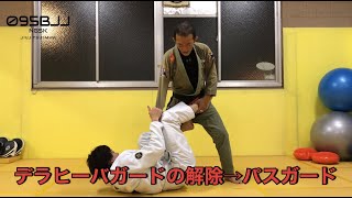 デラヒーバガードの解除→パスガード【BJJ基本テクニック】