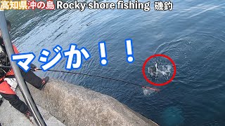 うわ！マジか！！高知県沖の島でグレを追う！（Rocky shore fishing）（磯釣)