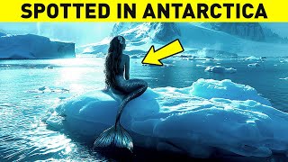 Mermaid Spotted in Antarctica!? What Really Stands Behind This Discovery