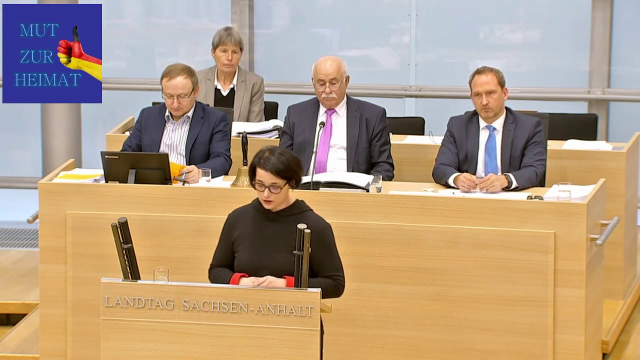 AfD Landtag Sachsen Anhalt Antrag Aussichteiger Programm ...