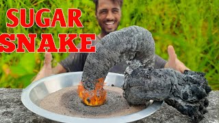 Amazing Science Experiment With Sugar || Black Fire Snake Experiment || Amazing 😱