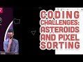 Live Stream #70: Coding Challenges: Asteroids and Pixel Sorting