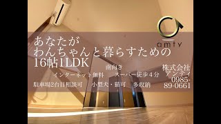 【不動産アンティ】ペット可！1LDK！宮崎で夫婦でペットと暮らすなら今はココですよ！　フォーチュンヴィラフォーチュンヴィラ　206