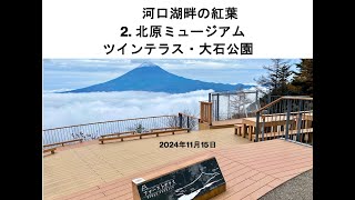 河口湖畔の紅葉 富士山が見えなくても Part2. 北原ミュージアム・ツインテラス・大石公園 2024.11.15