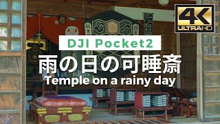 【4K】Temple on a rainy day - 雨の日の可睡斎 Walking Video From Japan / VLOG / DJI Pocket 2