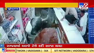 Locals panic after Bulls enter a shop while fighting in Chotila, Surendranagar | TV9News