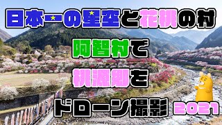 日本一の星空と花桃の村阿智村で桃源郷をドローン撮影 2021（花桃の里）