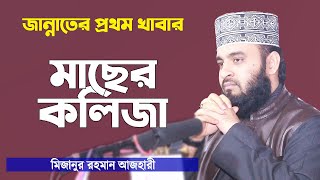 জান্নাতের খাবারের ওয়াজ করলেন মিজানুর রহমান আজহারী | Jannater Khabar | Mizanur Rahman Azhari