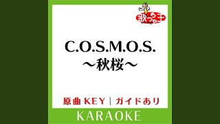 C.O.S.M.O.S.～秋桜～ (カラオケ) (原曲歌手:三代目 J Soul Brothers from EXILE TRIBE)