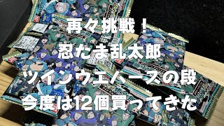 再々挑戦！「ツインウエハースの段」