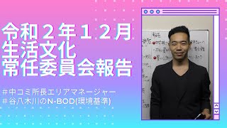 令和２年１２月生活文化常任委員会　報告　明石市　市議会　石井ひろのり