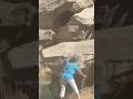 Tourist at Rome’s Trevi Fountain climbs on rocks to fill water bottle #shorts