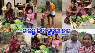 ବୋଉ ବାହାର କଲା ହାଟ ପରିବା/ପରିବା ଭାଗ କଲେ ପିକୁ ବେଟା||@DpEatingShow @lifeofsridhar9099